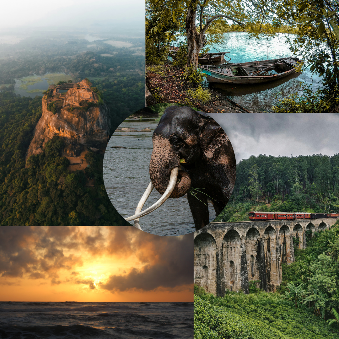 Sri Lankan tea plantation